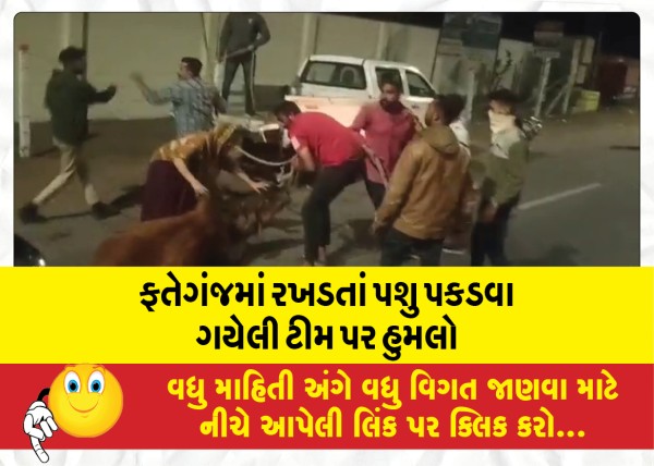 MailVadodara.com - Attack-on-a-team-that-went-to-catch-stray-cattle-in-Fateganj