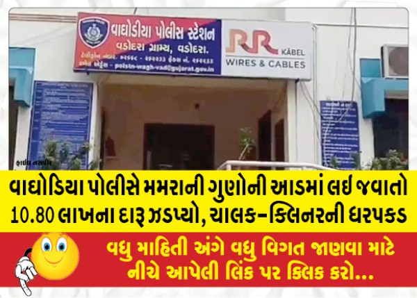 MailVadodara.com - Waghodia-police-seized-liquor-worth-10-80-lakhs-being-carried-under-the-guise-of-Mamra-driver-cleaner-arrested