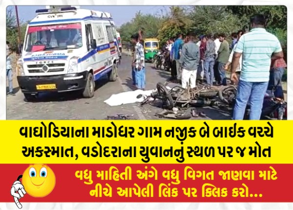 MailVadodara.com - Accident-between-two-bikes-near-Madodhar-village-in-Waghodia-youth-from-Vadodara-died-on-the-spot