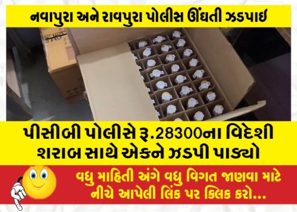 MailVadodara.com - PCB-police-nabbed-one-with-foreign-liquor-worth-Rs-28300