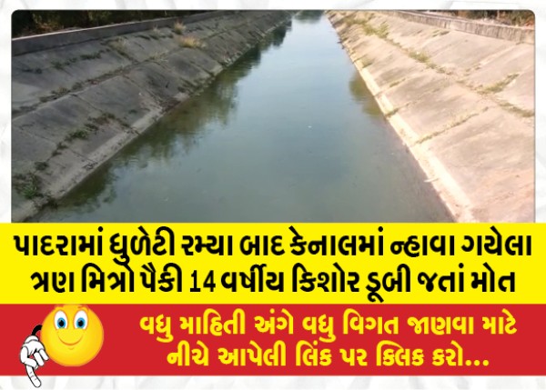 MailVadodara.com - A-14-year-old-boy-drowned-among-three-friends-who-went-to-bathe-in-the-canal-after-playing-dhuleti-in-Padra