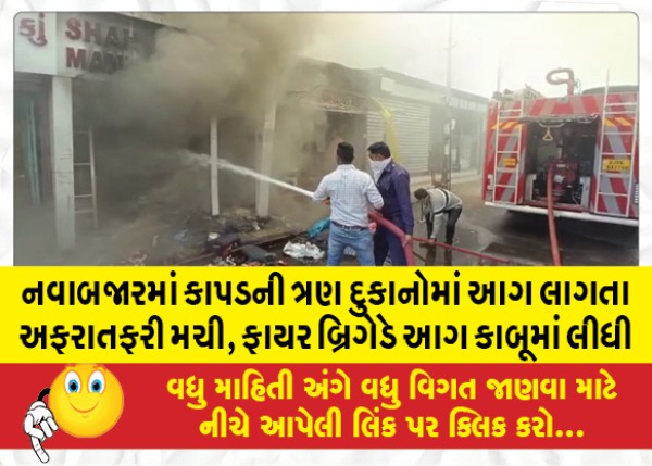 MailVadodara.com - Fire-breaks-out-in-three-textile-shops-in-Navabazar-fire-brigade-douses-fire