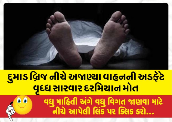 MailVadodara.com - An-elderly-man-died-during-treatment-after-being-hit-by-an-unknown-vehicle-under-Dumad-Bridge