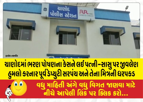 MailVadodara.com - Former-deputy-sarpanch-and-his-friend-arrested-for-fatally-assaulting-wife-mother-in-law-over-feeding-case-in-Chanod