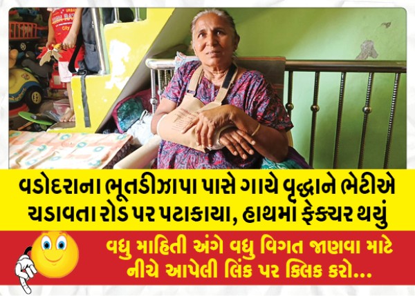 MailVadodara.com - Near-Bhutdizhapa-of-Vadodara-cow-was-trampled-on-the-road-while-hugging-an-old-woman-the-hand-was-injured