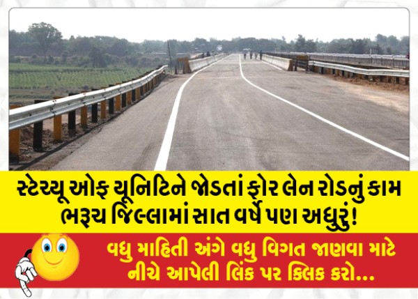 MailVadodara.com - Work-of-four-lane-road-connecting-Statue-of-Unity-incomplete-in-Bharuch-district-even-after-seven-years