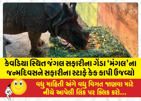 MailVadodara.com - Kevadia-based-Jungle-Safari-Rhinoceros-Mangal-celebrated-his-birthday-by-cutting-a-cake