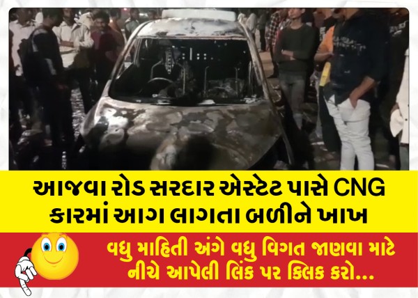 MailVadodara.com - A-CNG-car-caught-fire-near-Sardar-Estate-on-Ajwa-Road