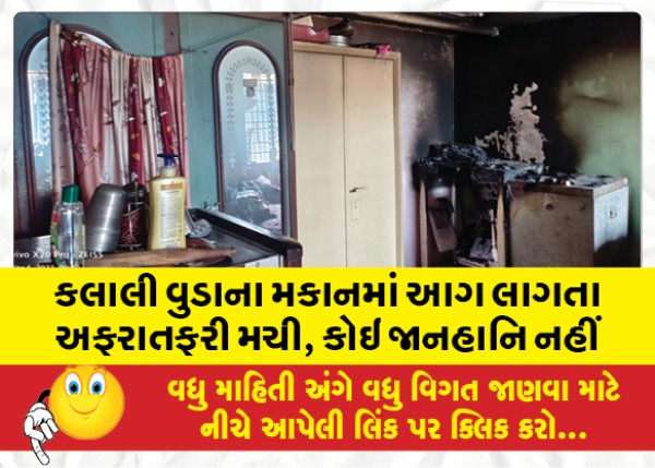 MailVadodara.com - A-fire-broke-out-in-a-house-in-Kalali-Wooda-but-there-was-no-casualty