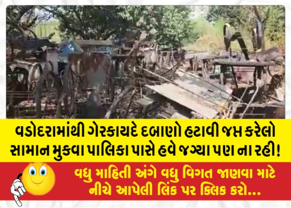 MailVadodara.com - By-removing-the-illegal-pressure-from-Vadodara-the-municipality-did-not-even-have-a-place-to-store-the-confiscated-goods