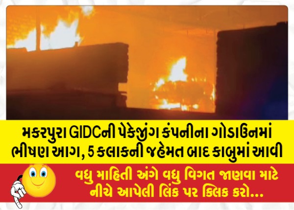 MailVadodara.com - Massive-fire-in-Makarpura-GIDC-packaging-company-godown-brought-under-control-after-5-hours-of-effort