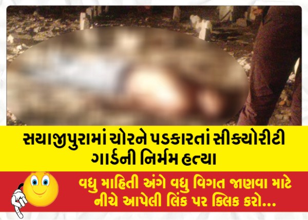 MailVadodara.com - Security-guard-brutally-killed-while-challenging-a-thief-in-Sayajipura