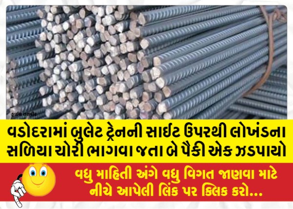 MailVadodara.com - One-of--two-was-caught-stealing-iron-bars-from-the-bullet-train-site-in-Vadodara