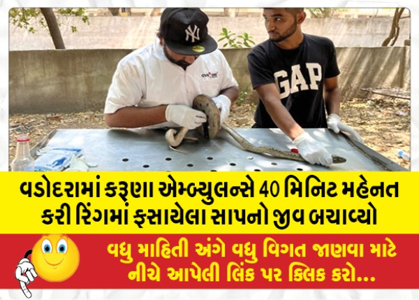 MailVadodara.com - In-Vadodara-Karuna-Ambulance-worked-for-40-minutes-to-save-the-life-of-a-snake-trapped-in-a-ring