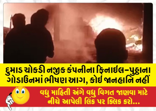 MailVadodara.com - Heavy-fire-at-company-phenyl-putty-godown-near-Dumad-Chowkdi-no-casualty