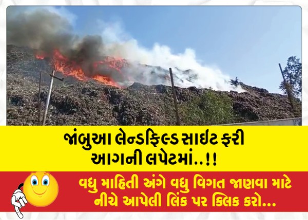 MailVadodara.com - Jambua-landfill-site-in-flames-again