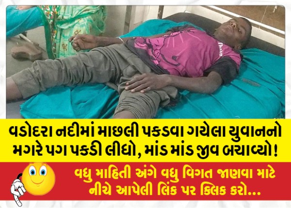 MailVadodara.com - A-young-man-who-went-fishing-in-the-Vadodara-river-was-caught-by-a-crocodile-barely-saved-his-life