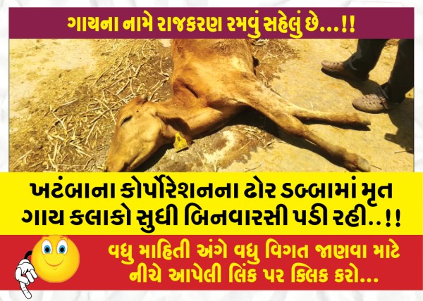 MailVadodara.com - The-dead-cow-in-the-cattle-of-Khatamba-Corporation-was-falling-in-a-state-of-disrepair-for-hours