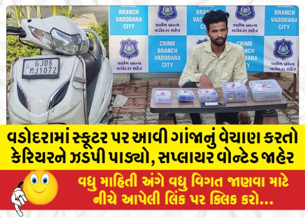 MailVadodara.com - Carrier-selling-such-ganja-on-scooter-nabbed-in-Vadodara-supplier-wanted-declared