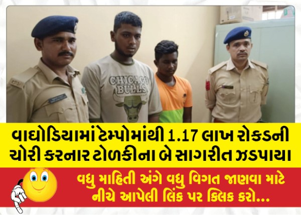 MailVadodara.com - Two-members-of-the-gang-who-stole-1-17-lakh-cash-from-Tempo-in-Waghodia-nabbed