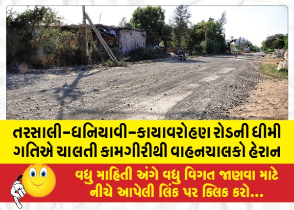 MailVadodara.com - Tarsali-Dhaniyavi-Kayavarohan-Road-slow-moving-operation-annoys-motorists