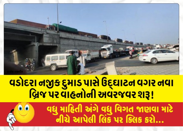 MailVadodara.com - Vehicular-traffic-started-on-the-new-bridge-near-Dumad-near-Vadodara-without-inauguration