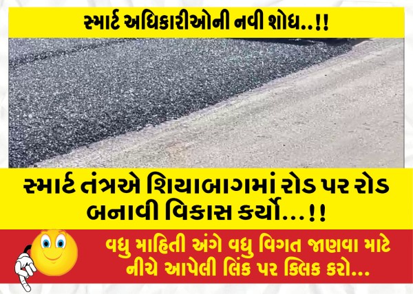 MailVadodara.com - The-smart-system-developed-road-after-road-in-Shiabagh