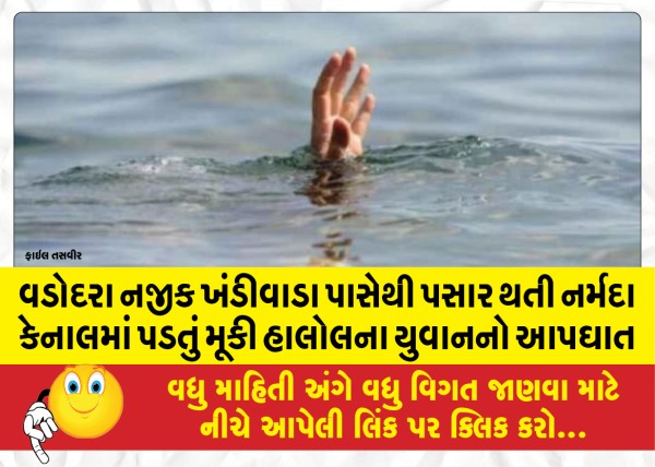 MailVadodara.com - A-youth-from-Halol-committed-suicide-by-falling-into-the-Narmada-canal-passing-by-Khandiwara-near-Vadodara