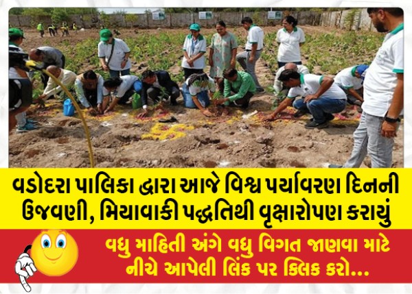 MailVadodara.com - Vadodara-Municipality-today-celebrated-World-Environment-Day-by-planting-trees-using-Miyawaki-method