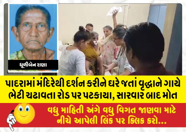 MailVadodara.com - An-old-man-fell-on-the-road-while-going-home-after-visiting-the-temple-in-Padra-died-after-treatment