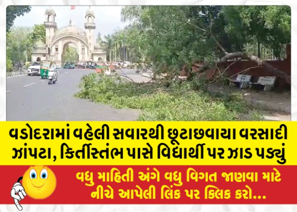 MailVadodara.com - Scattered-rain-showers-in-Vadodara-since-early-morning-tree-falls-on-student-near-Kirtistambh