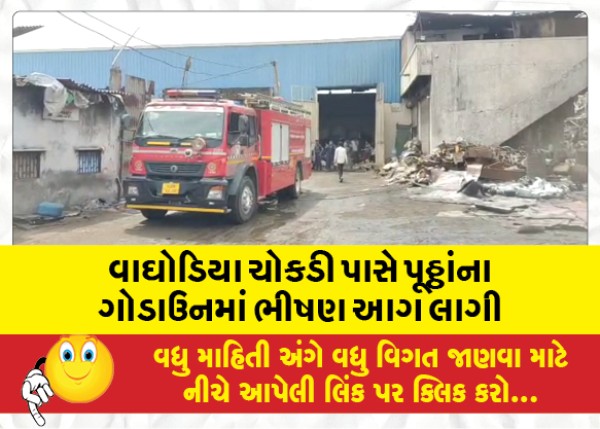 MailVadodara.com - A-massive-fire-broke-out-in-a-godown-of-Puttha-near-Vaghodia-Chokdi