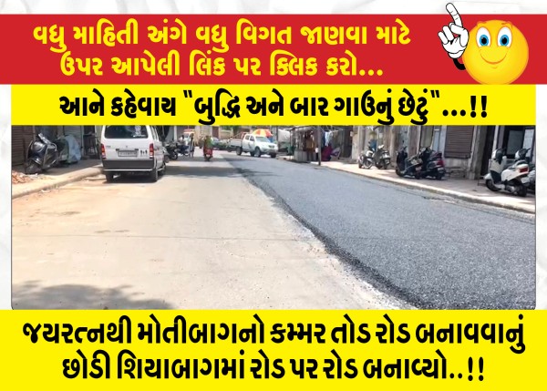 MailVadodara.com - From-Jayaratna-leaving-Motibag-to-break-the-road-they-built-road-after-road-in-Shiabag