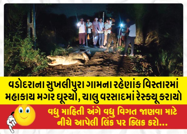 MailVadodara.com - Giant-crocodile-entered-residential-area-of-Sukhlipura-village-Vadodara-rescued-in-ongoing-rain