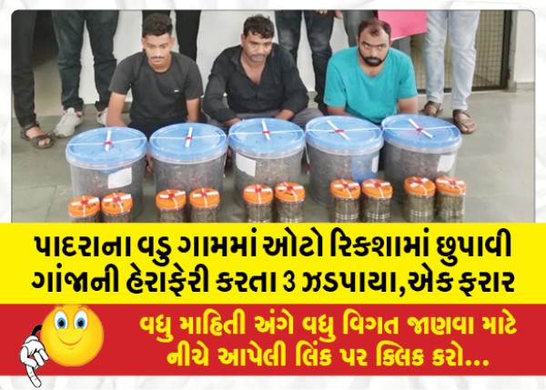 MailVadodara.com - 3-arrested-for-smuggling-ganja-hidden-in-auto-rickshaw-in-Vadu-village-of-Padra-one-absconding