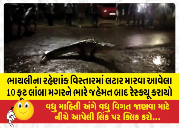 MailVadodara.com - A-10-feet-long-crocodile-that-was-strolling-in-the-residential-area-of-Bhayli-was-rescued-after-a-lot-of-effort