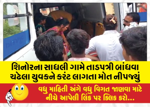 MailVadodara.com - A-youth-was-electrocuted-while-climbing-tarpaulin-at-Sadhli-village-of-Shinor