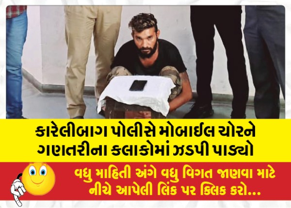 MailVadodara.com - Karelibagh-police-nabbed-the-mobile-thief-in-a-matter-of-hours