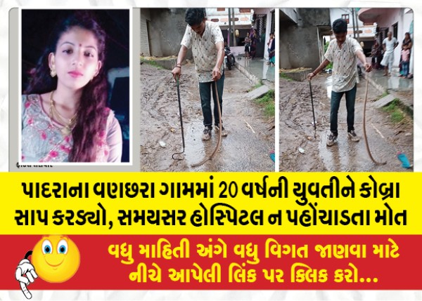 MailVadodara.com - A-20-year-old-girl-was-bitten-by-a-cobra-in-Vanachhara-village-of-Padra-died-without-reaching-the-hospital-on-time