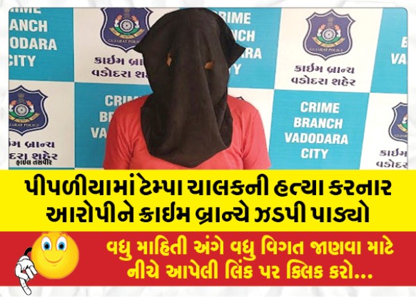 MailVadodara.com - The-crime-branch-has-arrested-the-accused-who-killed-the-Tampa-driver-in-Pipaliya