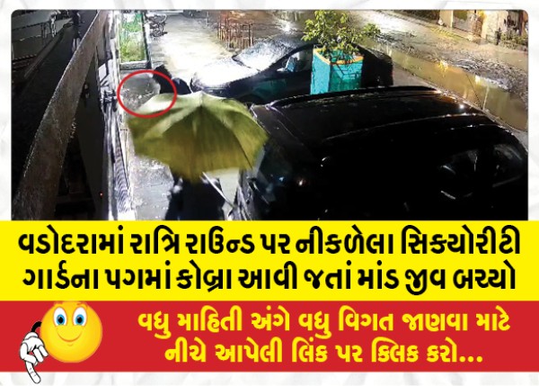 MailVadodara.com - A-security-guard-on-a-night-round-in-Vadodara-narrowly-escaped-after-a-cobra-landed-on-his-leg