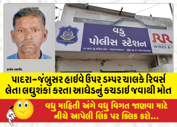 MailVadodara.com - A-middle-aged-man-was-crushed-to-death-by-a-dumper-driver-on-the-Padra-Jambusar-highway-while-reversing