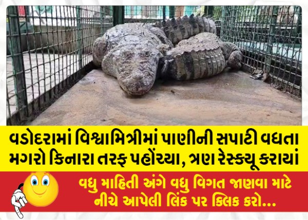 MailVadodara.com - Crocodiles-reach-shore-as-water-level-rises-in-Vishwamitri-in-Vadodara-three-rescued