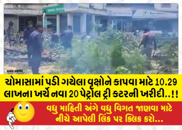 MailVadodara.com - Purchase-of-new-20-petrol-tree-cutters-at-a-cost-of-10-29-lakhs-to-cut-trees-fallen-in-monsoon