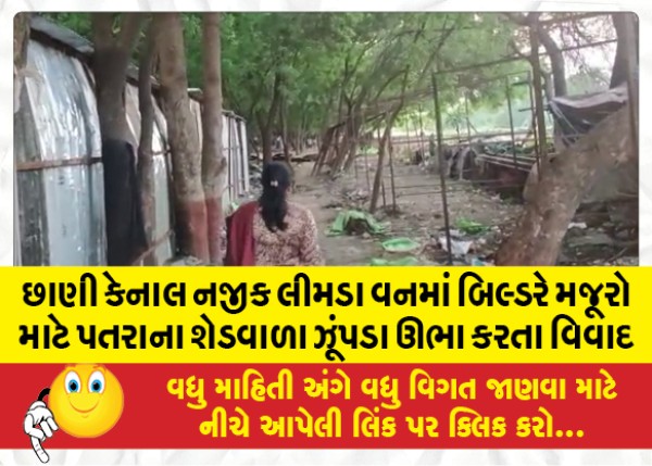 MailVadodara.com - Controversy-over-builder-erecting-huts-with-sheet-sheds-for-laborers-in-Neem-forest-near-Chhani-Canal