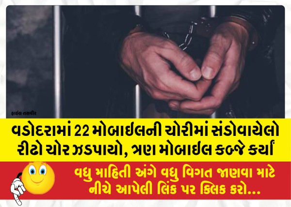 MailVadodara.com - Habitual-thief-involved-in-theft-of-22-mobiles-caught-in-Vadodara-three-mobiles-seized