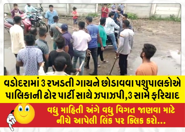 MailVadodara.com - In-Vadodara,-herdsmen-clashed-with-municipal-cattle-party-to-rescue-3-stray-cows-complaint-against-3