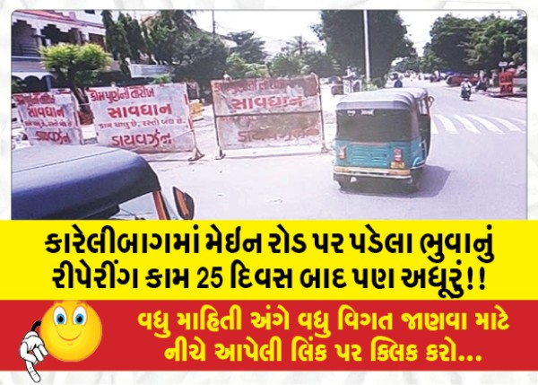 MailVadodara.com - Repair-work-of-Bhuva-lying-on-the-main-road-in-Karelibagh-is-incomplete-even-after-25-days