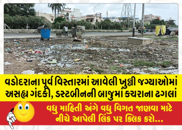 MailVadodara.com - Unbearable-filth-in-open-spaces-in-East-Vadodara-city-piles-of-garbage-next-to-dustbins