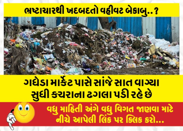 MailVadodara.com - Garbage-piles-up-near-Gadheda-market-till-seven-in-the-evening-vadodara